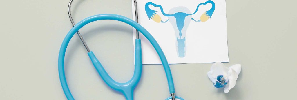 ginecologo salum contacto