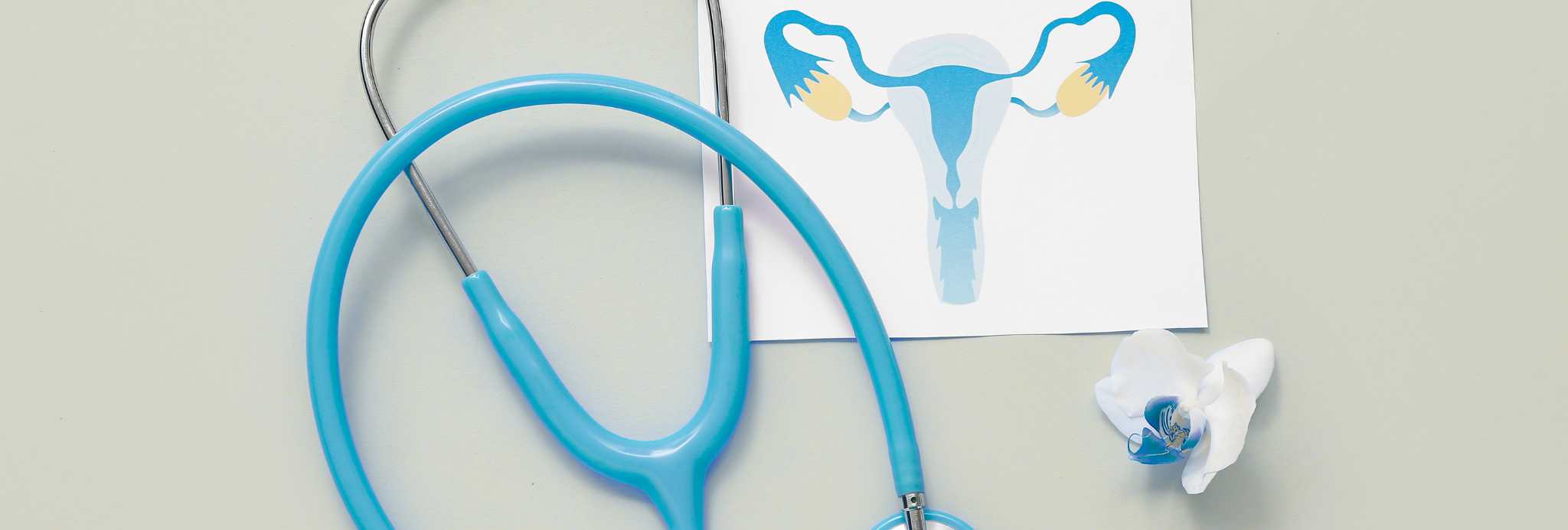 ginecologo salum contacto